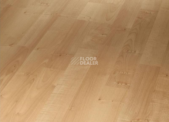 Ламинат Parador Basic Plus 200 1426411 Клён Натуральный фото 1 | FLOORDEALER